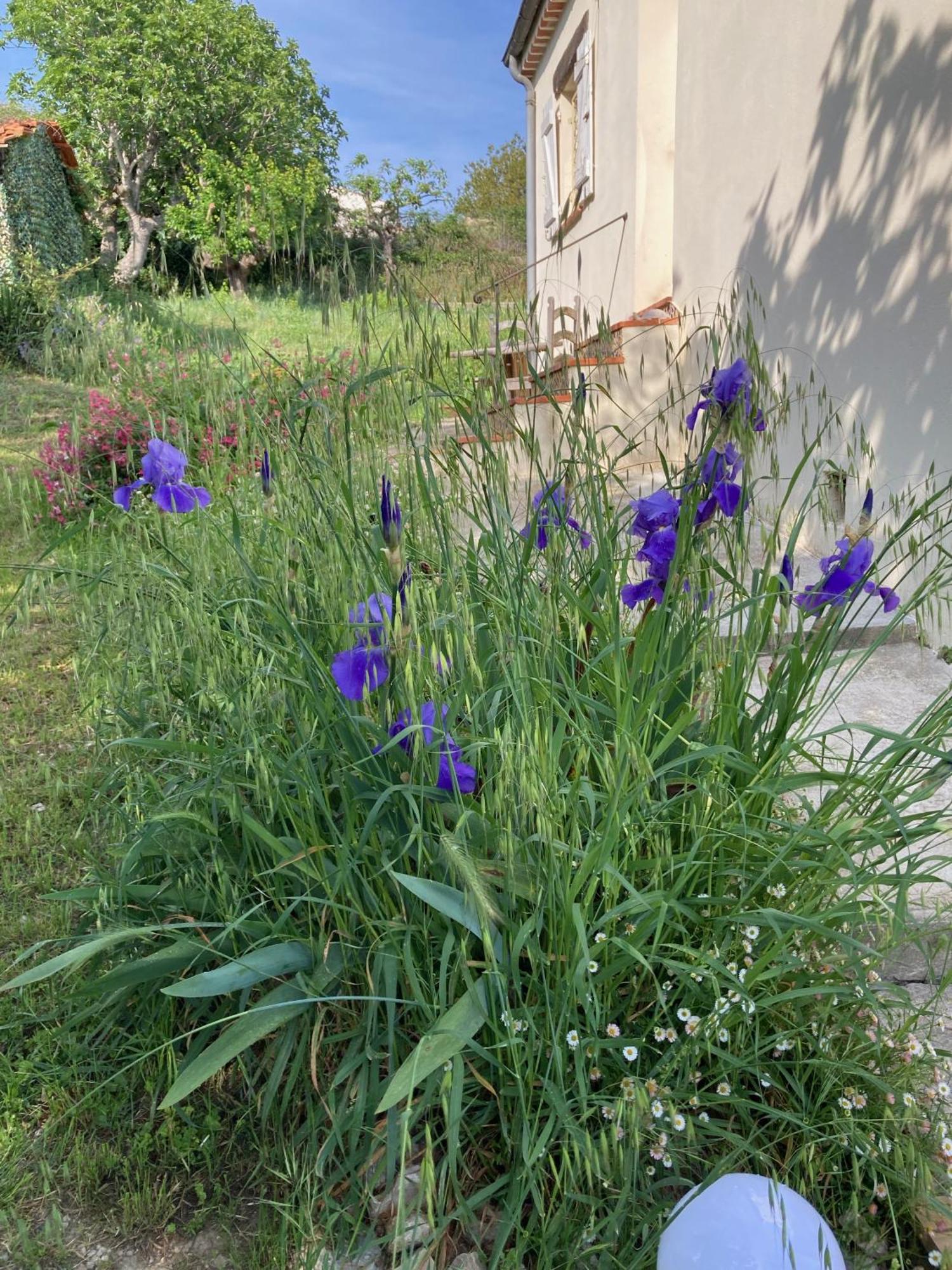 Villa Les Figuiers Cagnes-sur-Mer Exterior photo